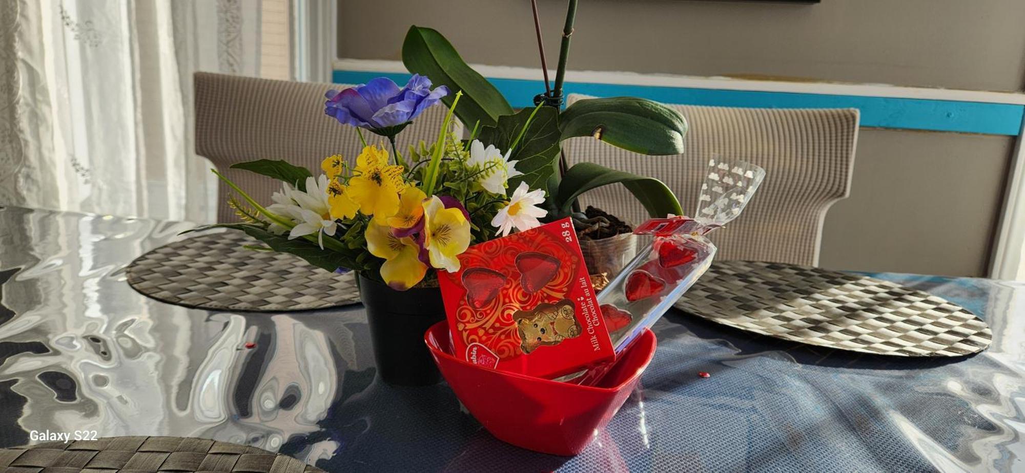Maison Chaleureuse, Energetique Et Florale Sherbrooke Ngoại thất bức ảnh